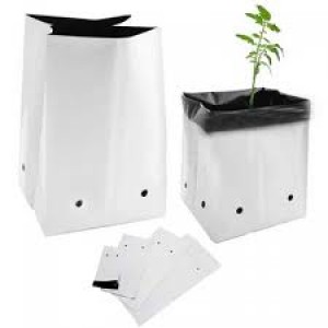 Túi Bầu Trồng Dưa- Túi Pe Trồng Dưa Túi Bầu Trồng Dưa- Túi Pe Trồng Dưa